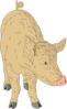 Hairy Pig Clip Art